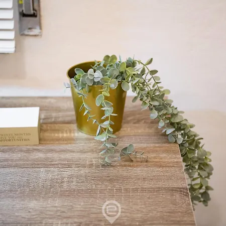 Aurora's 칼리아리